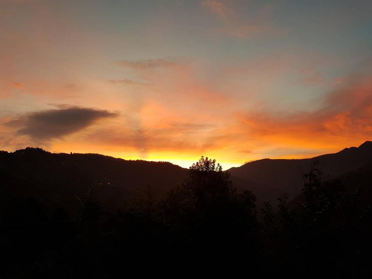 Lala Mountain Homestay‧Cile Farm Hualing Buitenkant foto