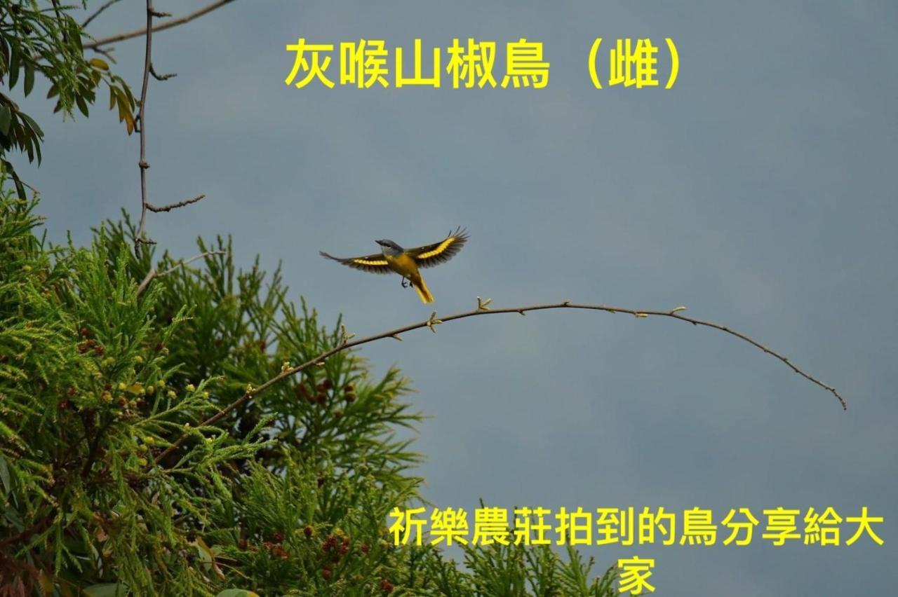 Lala Mountain Homestay‧Cile Farm Hualing Buitenkant foto