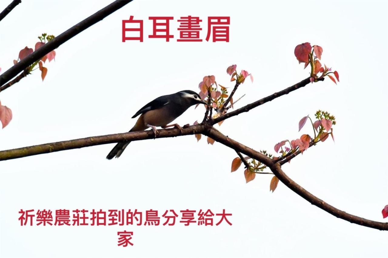 Lala Mountain Homestay‧Cile Farm Hualing Buitenkant foto