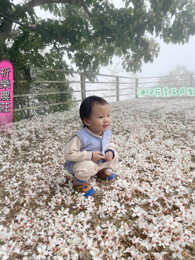 Lala Mountain Homestay‧Cile Farm Hualing Buitenkant foto