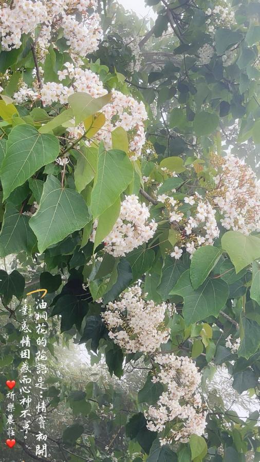Lala Mountain Homestay‧Cile Farm Hualing Buitenkant foto